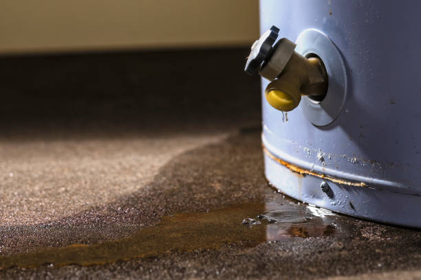 Best Water damage cleanup near me  in Ione, CA