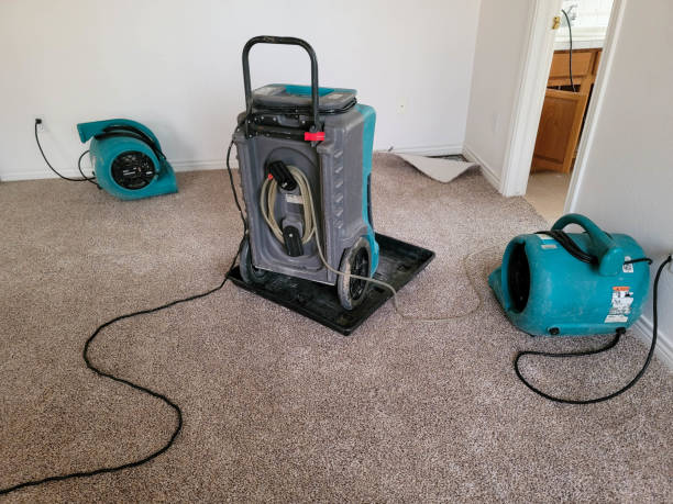 Best Water damage contractors near me  in Ione, CA