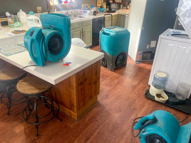 Best Water damage restoration near me  in Ione, CA