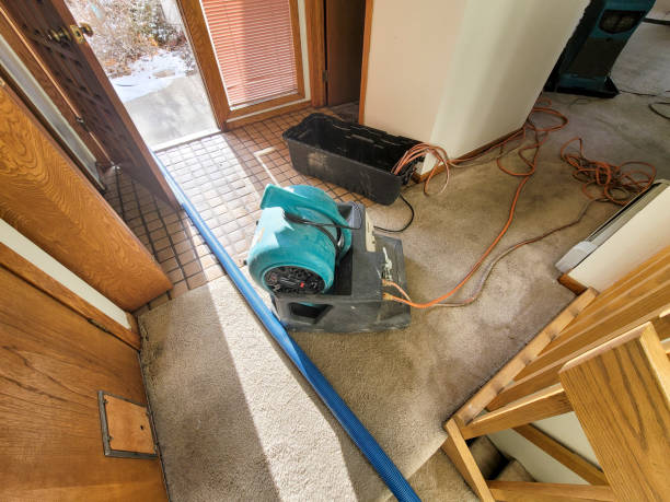 Best Residential water damage restoration  in Ione, CA