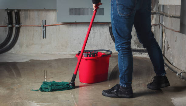 Best Water damage restoration near me  in Ione, CA